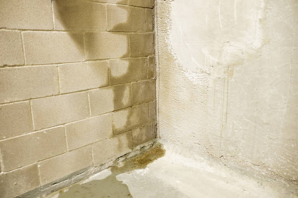 rain water leaks on the wall causing damage